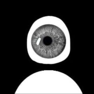 Meet your Posher, Eden